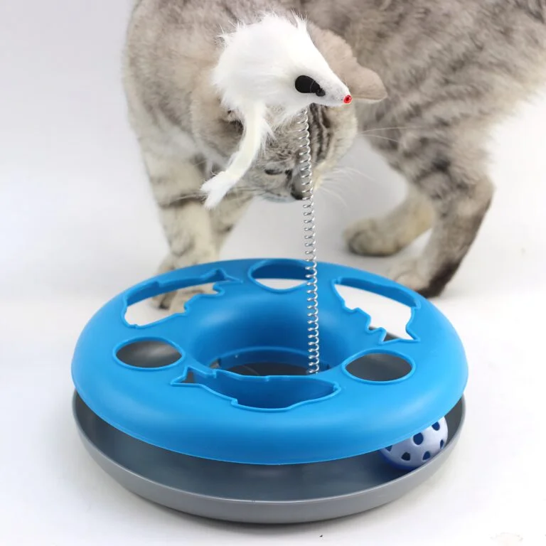 Cat Disc Toy with Spring Mouse and Balls image 3