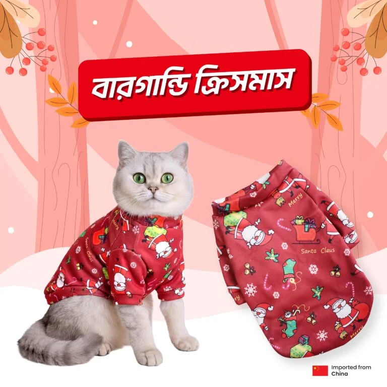 Cat Winter Dress Burgundy Christmas